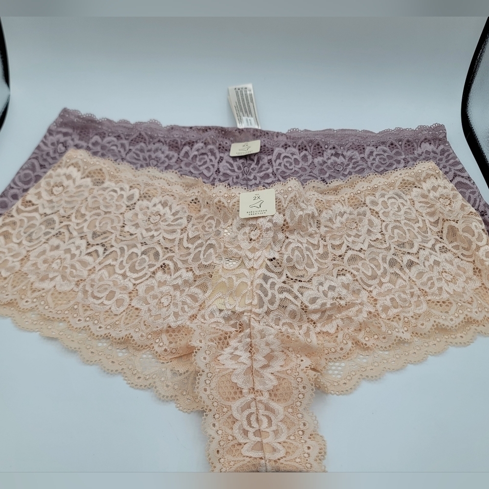 Deesse Brazilian Lace Underwear Panties Size 2X NEW #987